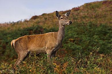 《木卫四协议》恐怖程度远超死亡空间 玩家要吓尿